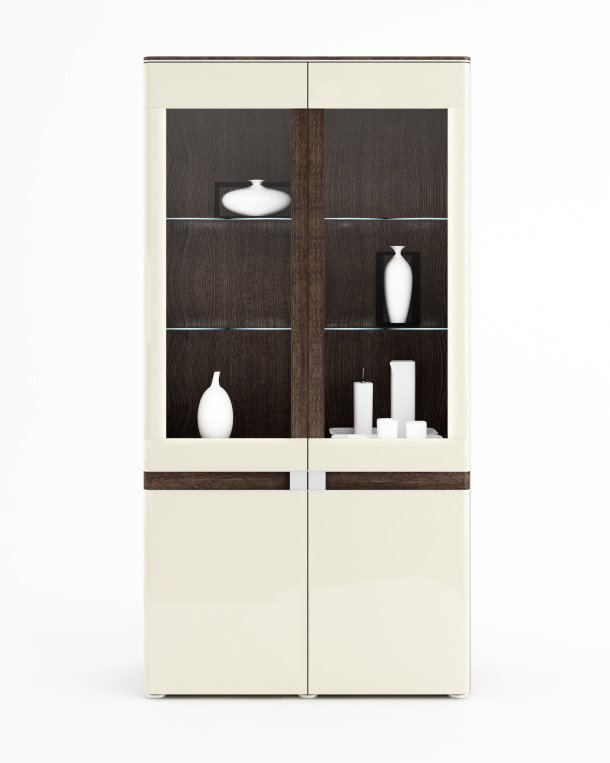 Brayden Studio Andrzejewski 2 Doors Display China Wayfair